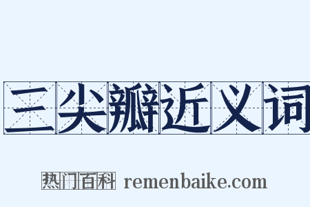 三尖瓣近义词是什么意思的图片